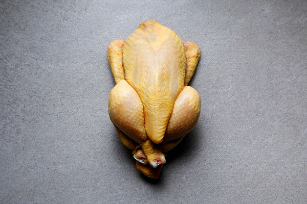 Hen/Hard Chicken